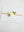 Rose Ribbon Clip